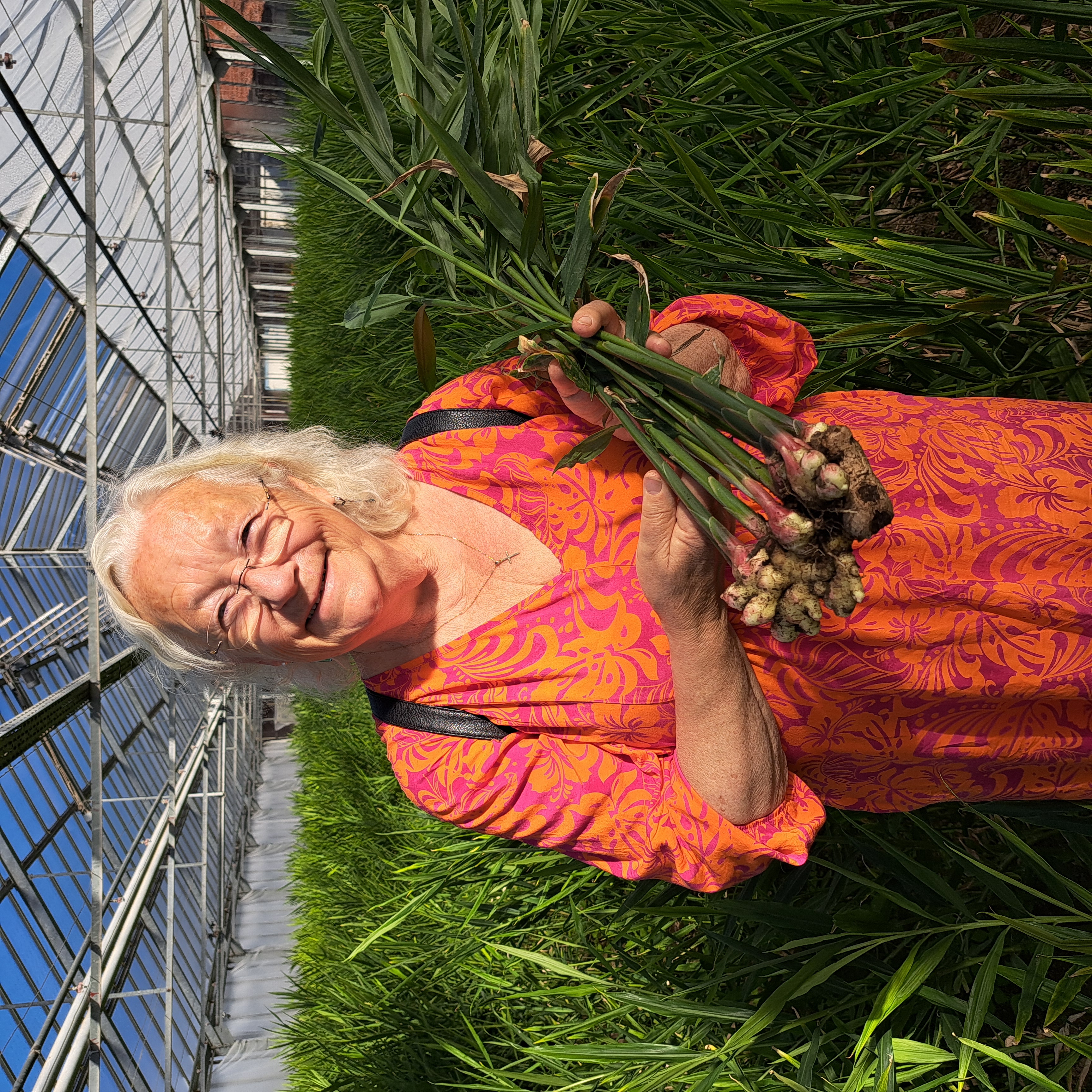 Helene Nestler mit frisch geerntetem bayerischen Ingwer