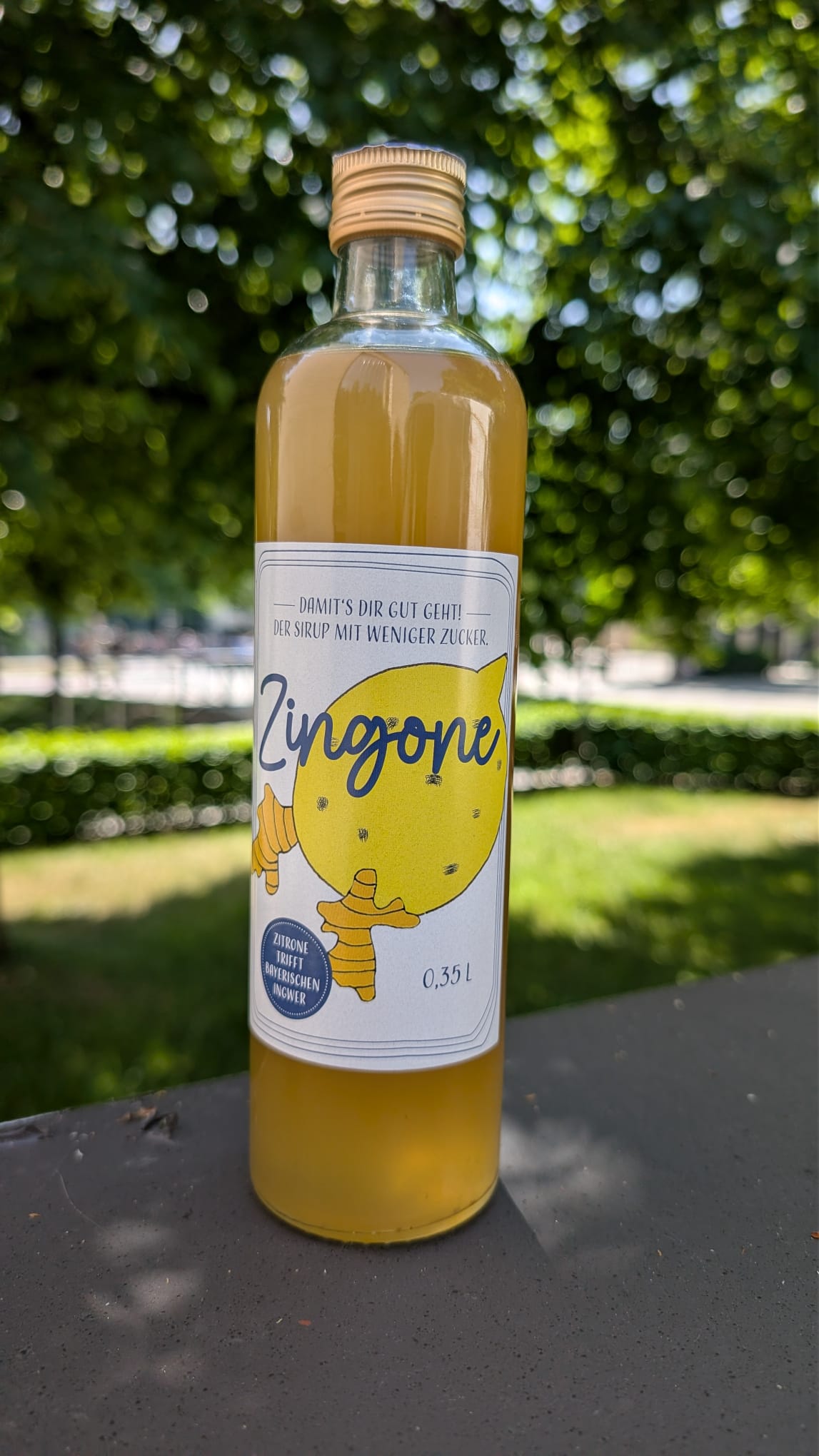 Zingone in München